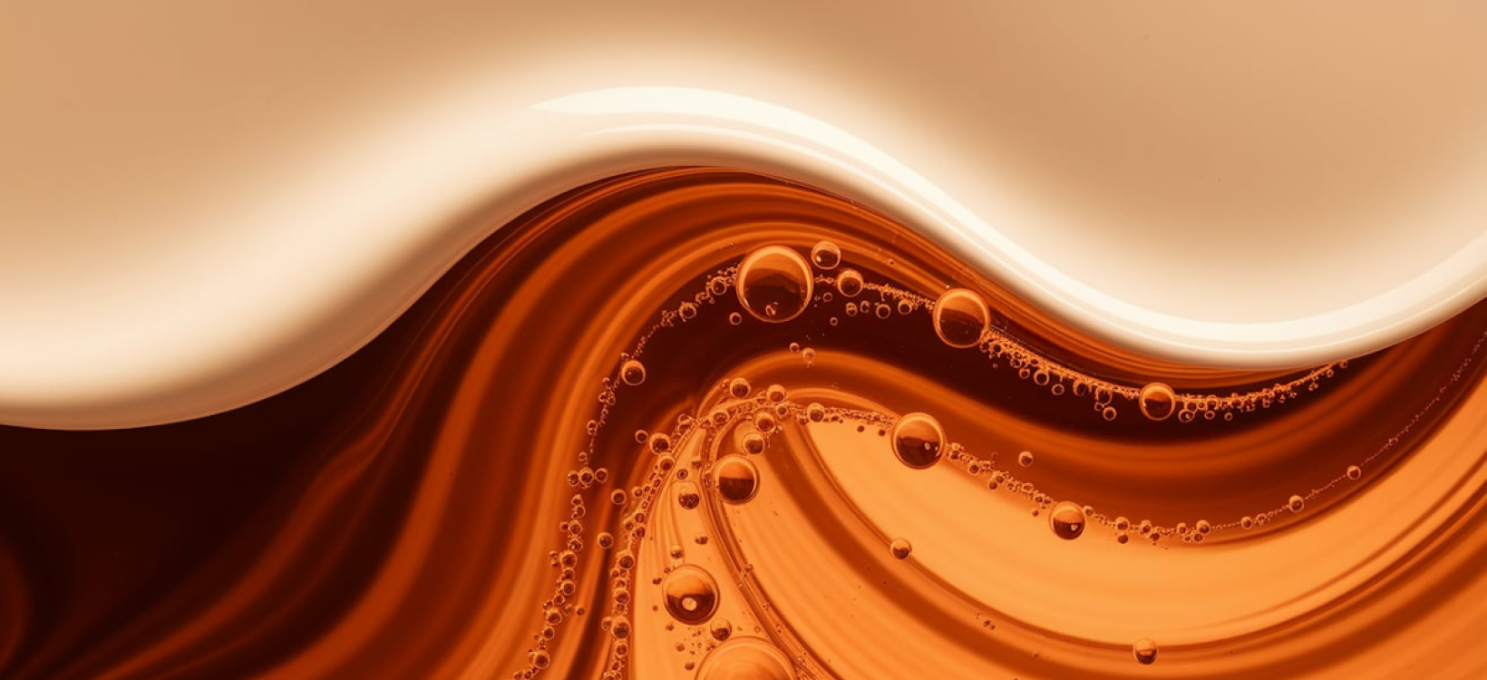 Transfermax - Main project image